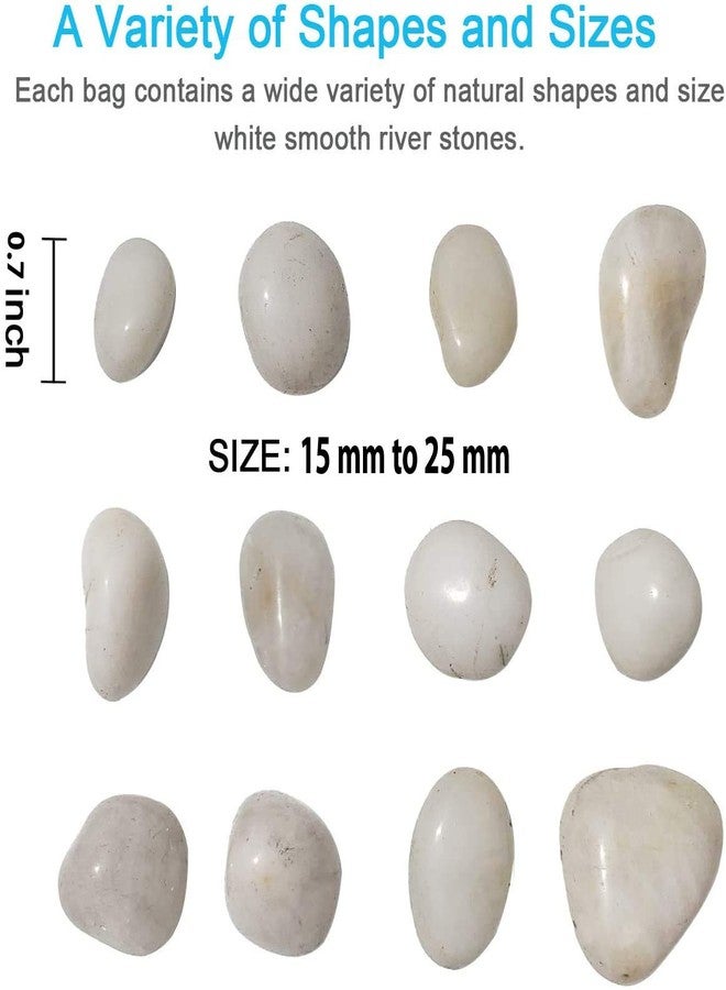 Schmick White Pebbles for Decoration - Pebbles for Plants Pots - Pebbles for Garden, Fish Tank Aquarium, Table, Vase Fillers (1.9 Kg, White Stones) - Image 5